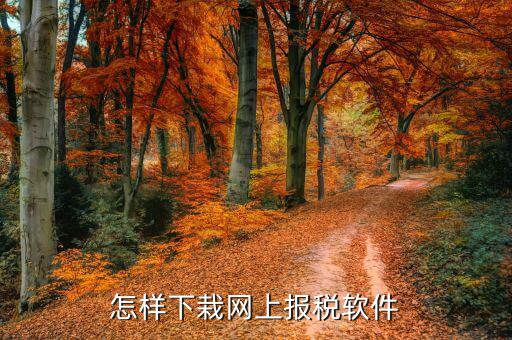 如何下載報稅軟件下載，怎么下載地稅納稅申報軟件