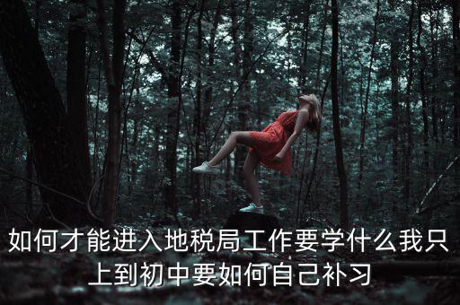 如何才能進(jìn)入地稅局工作要學(xué)什么我只上到初中要如何自己補習(xí)