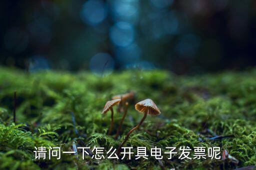 上海如何申領(lǐng)電子發(fā)票，請問一下怎么開具電子發(fā)票呢