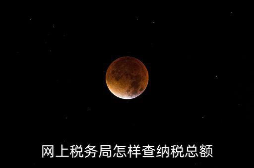 國稅局如何查稅，網(wǎng)上稅務局怎樣查納稅總額