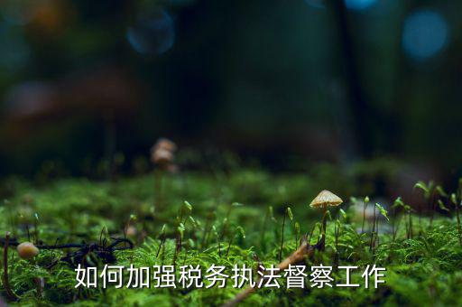如何加強(qiáng)稅務(wù)系統(tǒng)巡視巡察，如何加強(qiáng)稅務(wù)執(zhí)法督察工作