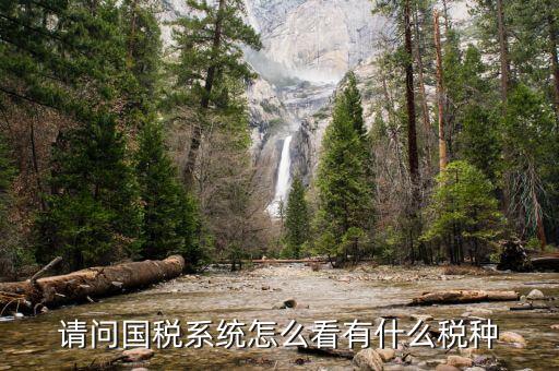 國(guó)稅網(wǎng)站如何查詢稅種，怎樣查之前發(fā)票的稅種
