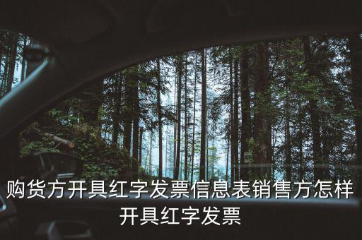 購(gòu)買(mǎi)方如何開(kāi)具紅字信息表，購(gòu)買(mǎi)方增值稅專(zhuān)用發(fā)票填紅字信息表怎么操作