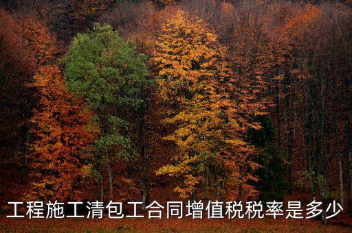 清包工 如何稅務，一般納稅人去國稅說明是清包工怎么寫說明
