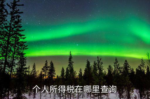 江蘇自然人如何查詢個稅繳納，個人稅怎么查
