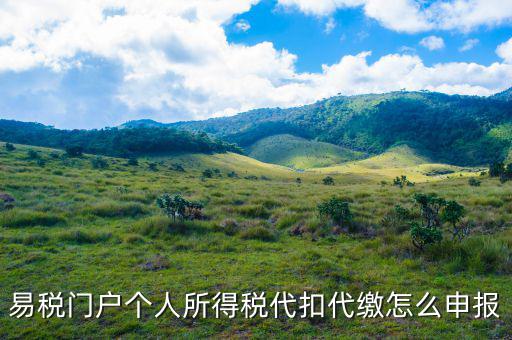 易稅門(mén)戶(hù)個(gè)人所得稅代扣代繳怎么申報(bào)
