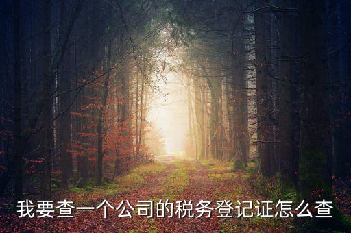如何查企業(yè)的稅務登記證號，公司的稅務登記證號怎么查詢