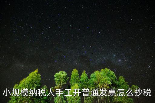 小規(guī)模納稅人開(kāi)票系統(tǒng)如何抄報(bào)稅，小規(guī)模稅款控盤(pán)如何抄報(bào)稅