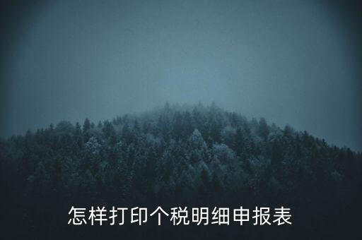 怎樣打印個稅明細(xì)申報(bào)表