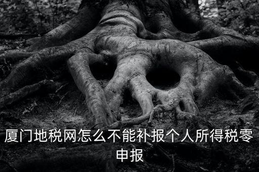 廈門(mén)地稅網(wǎng)怎么不能補(bǔ)報(bào)個(gè)人所得稅零申報(bào)