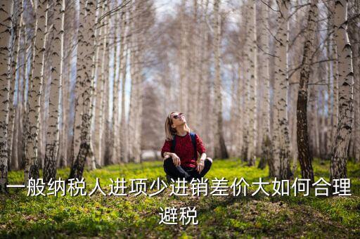 一般納稅人進(jìn)項少進(jìn)銷差價大如何合理避稅