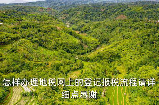 怎樣辦理地稅網(wǎng)上的登記報稅流程請詳細(xì)點懇謝