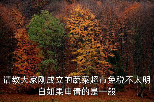 蔬菜免稅如何申請，如何申請蔬菜免稅發(fā)票