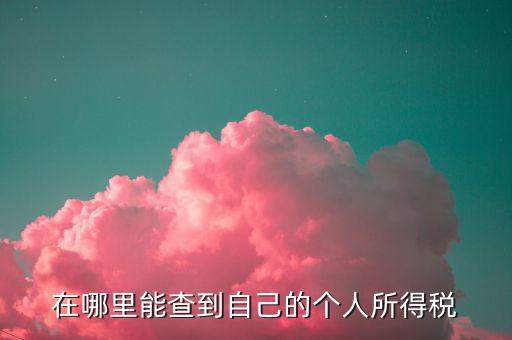 如何 查稅法，查看稅收法