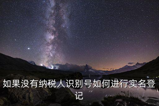 如果沒(méi)有納稅人識(shí)別號(hào)如何進(jìn)行實(shí)名登記