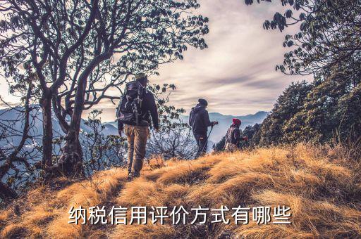 國稅信用等級如何評價，納稅信用評價方式有哪些