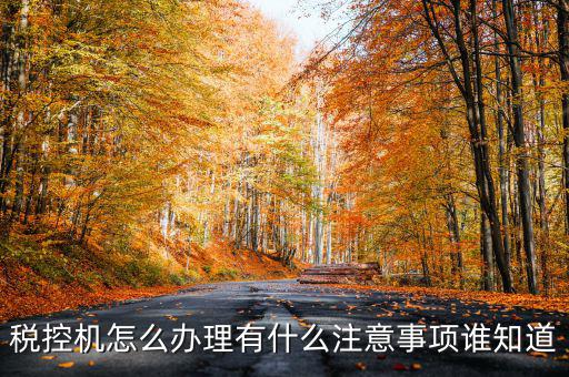 稅控機(jī)怎么辦理有什么注意事項誰知道