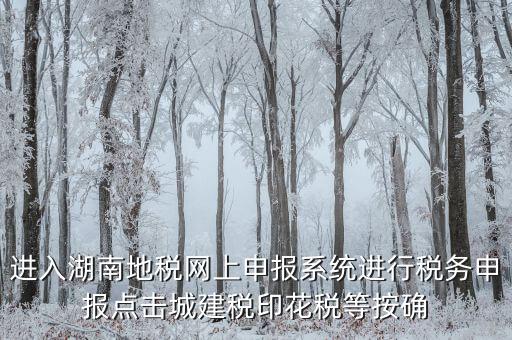 湖南省地稅局個人如何注冊，湖南地稅網(wǎng)上申報系統(tǒng)