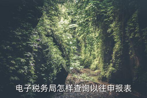 寧波地稅如何查往期申報(bào)信息，怎樣查看地稅網(wǎng)上申報(bào)記錄
