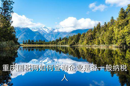 如何查詢增值稅一般納稅人資格，重慶國稅網如何查詢企業(yè)是否一般納稅人