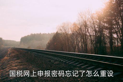 網(wǎng)上稅務(wù)局登錄密碼如何重置，國稅網(wǎng)上申報密碼忘記了怎么重設(shè)