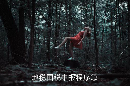 國稅地稅如何辦理流程，我想知道申報國稅地稅的流程包括前期需要什么資料期間如何