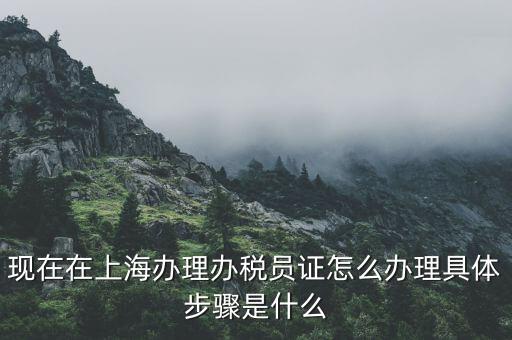 如何成為辦稅員，成為稅務人員的基本要求是什么