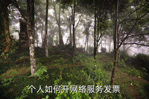 個(gè)人如何開(kāi)網(wǎng)絡(luò)服務(wù)發(fā)票
