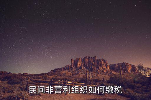 非營利組織如何納稅，民間非營利組織如何繳稅