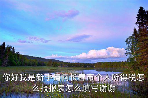 長(zhǎng)春國(guó)稅如何報(bào)稅，長(zhǎng)春市地稅申報(bào)