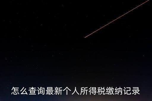 如何查稅收記錄，怎么查詢最新個(gè)人所得稅繳納記錄