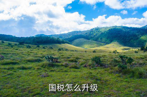 國稅系統(tǒng)如何適應(yīng)新時(shí)代，如何做好新形勢(shì)下的國稅工作