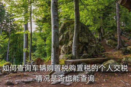 如何查汽車購置稅，我想查查我的車輛購置稅是多少怎么查