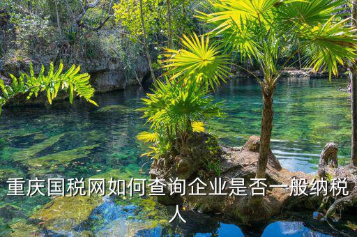 如何在國稅網(wǎng)查是否一般納稅人，怎么在網(wǎng)上查一個單位是不是一般納稅人