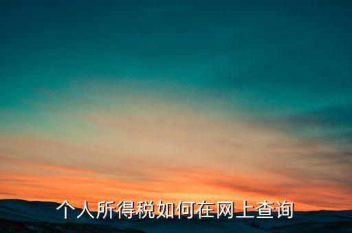 天津如何查個人所得稅，個人所得稅如何在網(wǎng)上查詢