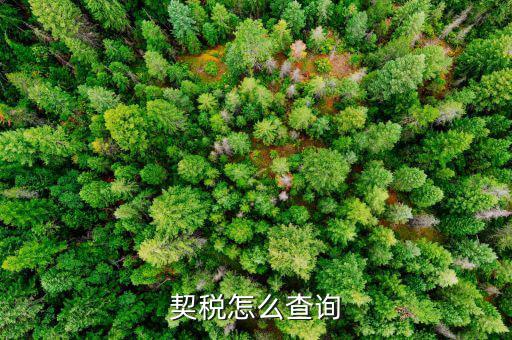 如何查詢(xún)契稅繳稅時(shí)間，契稅怎么查詢(xún)