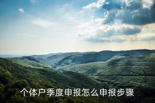 個(gè)體戶如何季度申報(bào)表，個(gè)體戶每個(gè)季度怎樣報(bào)稅