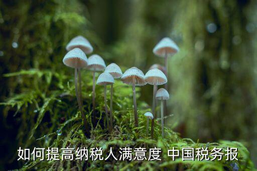 地稅如何提升納稅人滿意度，如何提高納稅人滿意度 中國稅務(wù)報(bào)