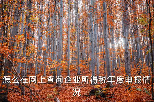 企業(yè)稅務(wù)信息如何查詢系統(tǒng)，通過企業(yè)注冊號(hào)和地稅登記證號(hào)如何查詢企業(yè)信息