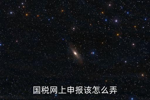 國稅新系統(tǒng)如何申報(bào)，國稅網(wǎng)上申報(bào)該怎么弄