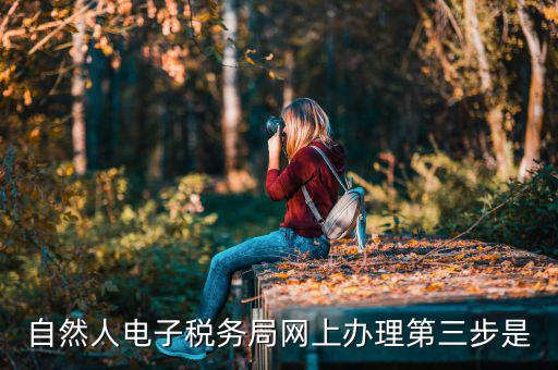 自然人電子稅務局網(wǎng)上辦理第三步是