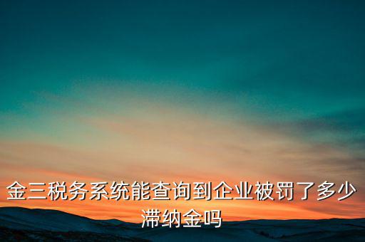 稅務(wù)部門的行政處罰如何查詢，公司的稅務(wù)罰款去哪里查詢急