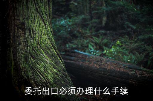 如何開具代理出口貨物證明，代理公司在當?shù)亻_具代理出口貨物證明 請問我公司如何