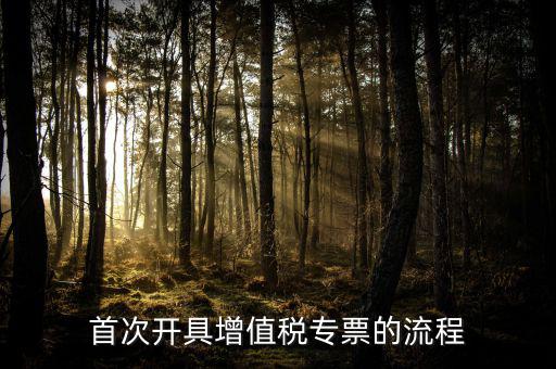如何申請增值稅專票，怎么申辦專用發(fā)票