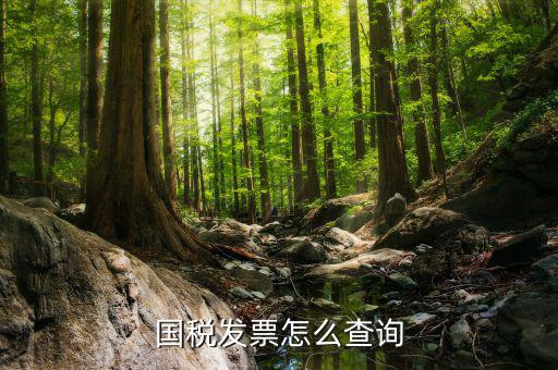 天津國稅發(fā)票如何查詢，國稅發(fā)票怎么查詢