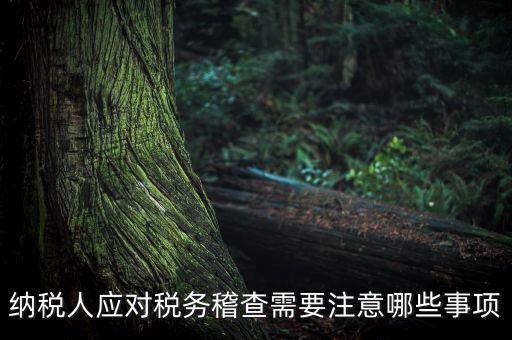 國稅稽查如何應(yīng)對聽證，怎么應(yīng)對稅務(wù)局的稅務(wù)稽查