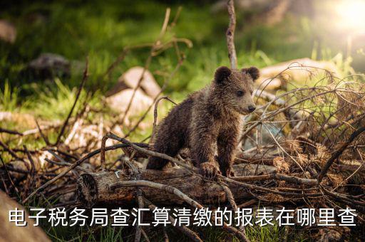 上海如何查詢匯算清繳，所得稅匯算清繳報(bào)告在金稅盤哪里查詢