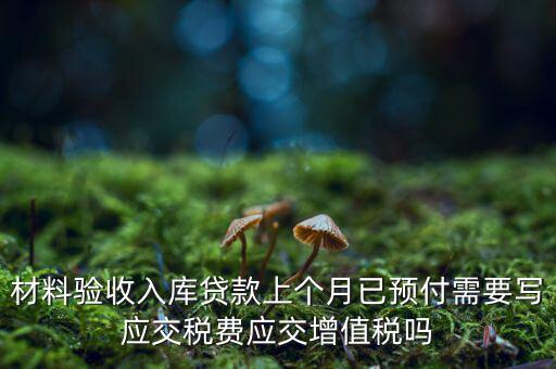 材料驗收入庫貸款上個月已預(yù)付需要寫應(yīng)交稅費(fèi)應(yīng)交增值稅嗎