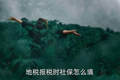 地稅如何申報(bào)社保，每月在地稅局怎么申報(bào)社保啊怎么在網(wǎng)上申報(bào)啊