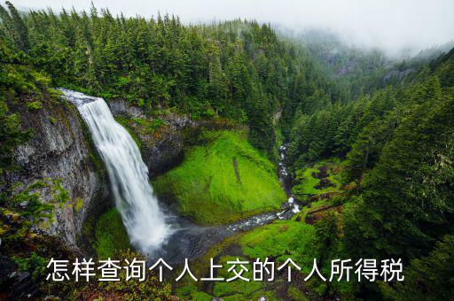 如何查詢個人稅務(wù)信息，怎樣查詢個人上交的個人所得稅